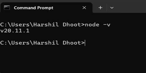 Image result for Install NPM vs Code