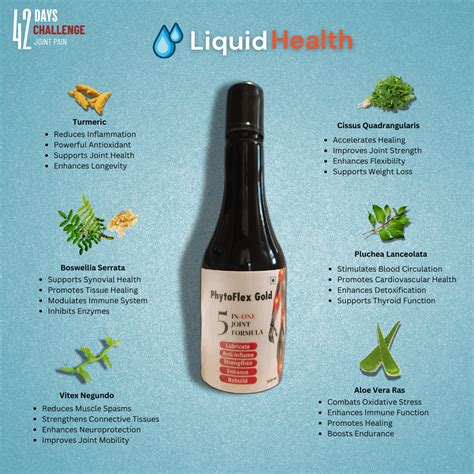 PhytoFlex Gold® - 10 Days Course - Relieve Joint Pain – Liquid Health