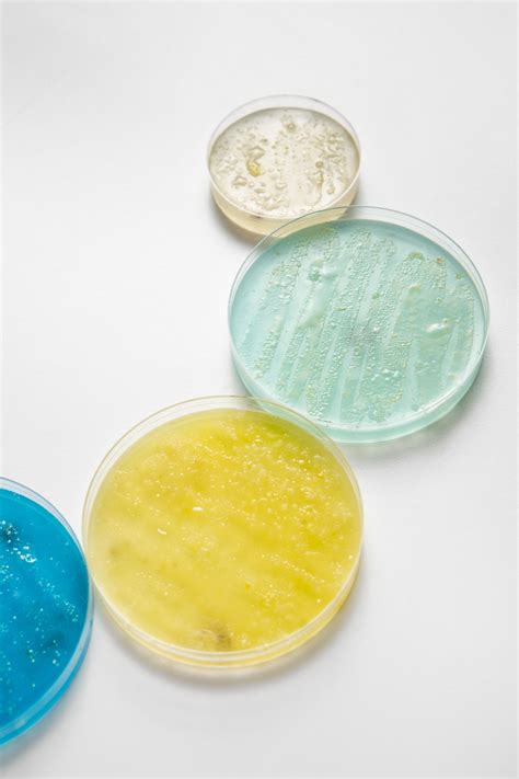 Probio Star – Advanced Probiotic Formula