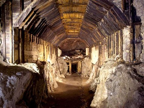 Stop looking for lost Nazi German treasure train: Poland | World News