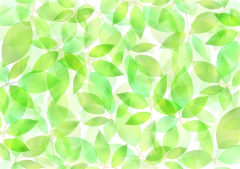 Image result for Computer Graphics Tutorial for Beginners