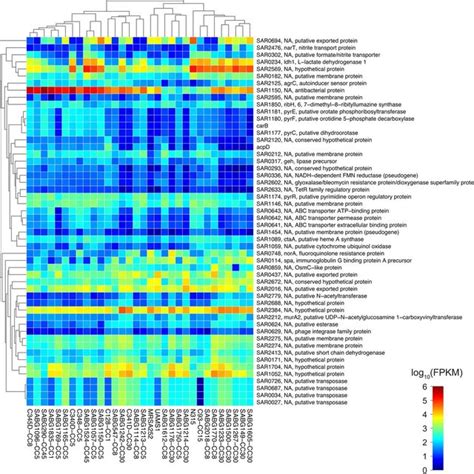Heat Map of Transcriptome Analysis of Pathogen Infection 的图像结果