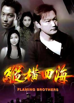 《纵横四海[粤语版]》1999年香港剧情,爱情,犯罪电视剧在线观看_蛋蛋赞影院
