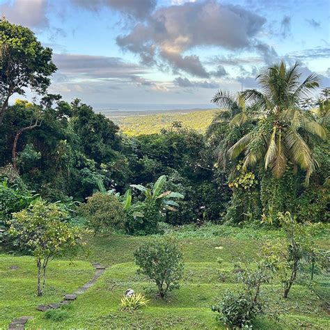 EL YUNQUE RAINFOREST INN (Jimenez) - Inn Reviews, Photos, Rate ...