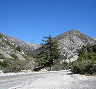 Image result for 沿途 Mt Baldy Rd