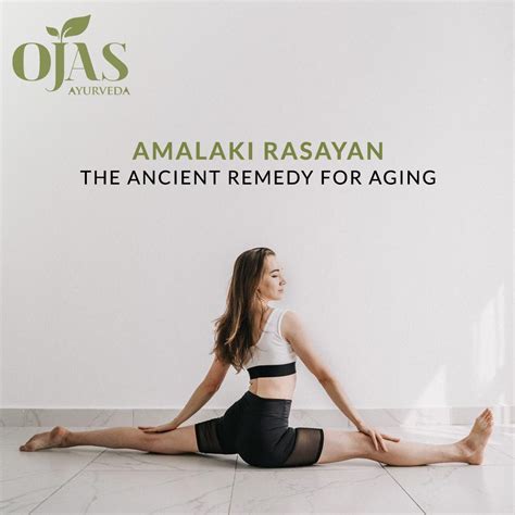 Amalaki Rasayan: The Ancient Remedy for Aging – Ojas Ayurveda