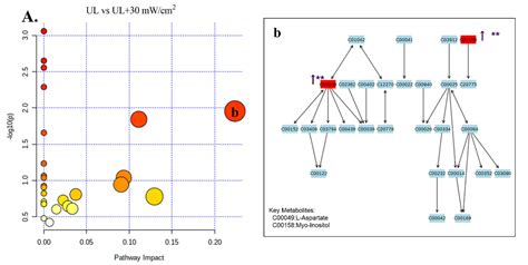 Molecular and Metabolic Mechanism of Low-Intensity Pulsed Ultrasound ...