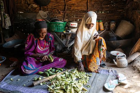 Nigeria’s Boko Haram displaced struggle with hunger following ...