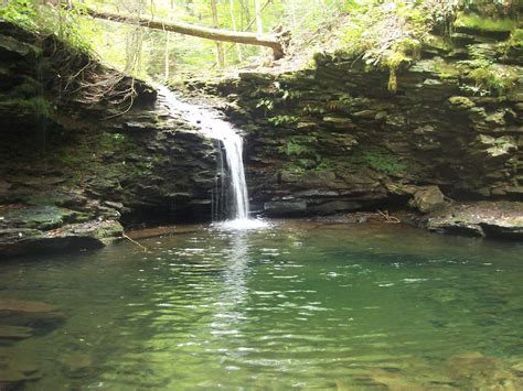 World's End State Park, Pennsylvania | State parks, National park ...