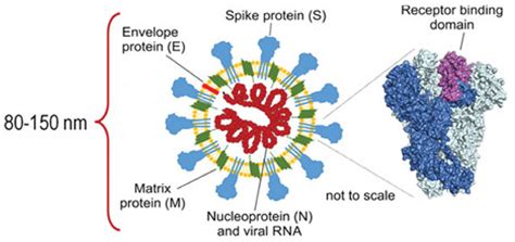 Nanofiber-Based Face Masks and Respirators as COVID-19 Protection: A Review