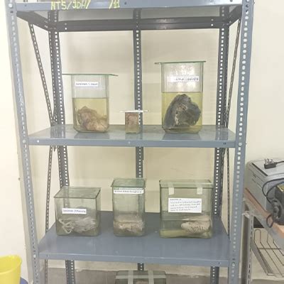 name of the department