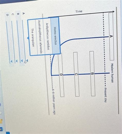 Early Man Evolution Chart 的图像结果