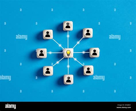 Joint Project 的图像结果