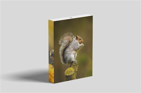 Rezultat imagine pentru PSD Software