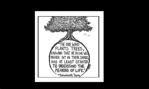 My PSR – Grow Billion Trees
