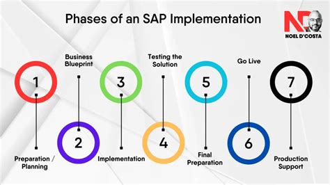 SAP Implementation Project 的图像结果
