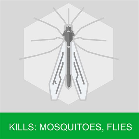 Buy NEW BAYGON MAX MOSQUITO & FLY KILLER 400ML Online & Get Upto 60% ...