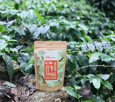 Tribe Kulture – tribekulture