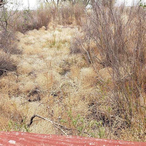 CIMARRON NATIONAL GRASSLAND - All You Need to Know BEFORE You Go 2026 ...