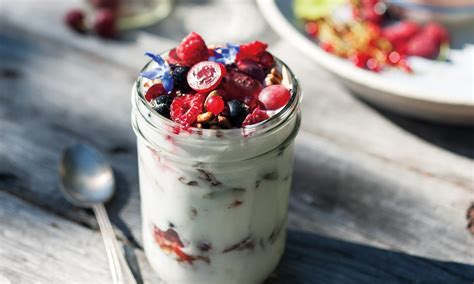 Powdered Goat Milk Yogurt Recipe | Bryont Blog