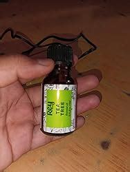 Buy Rey Naturals Pure Tea Tree Essential Oil | Tea Tree Oil For For ...