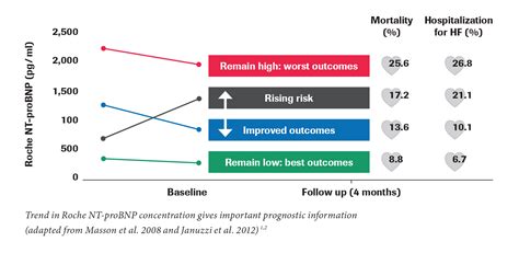Nt Probnp Altersadaptiert – Nt Probnp Oder Bnp – XNCUC