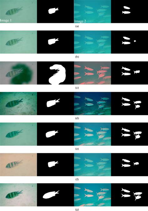 Image Segmentation 的图像结果