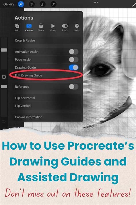 Image result for Procreate Tutorial Manual