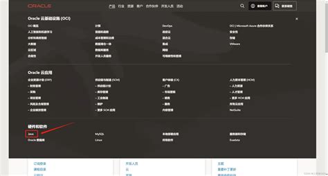 Java/Oracle Download 的图像结果