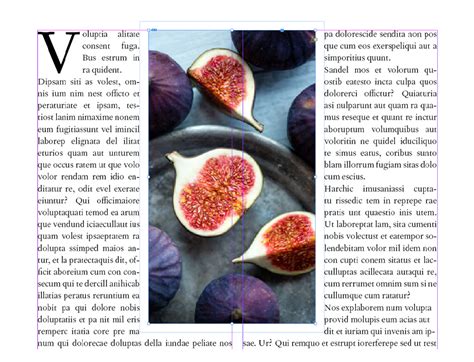 Image result for Text Box Wrap in InDesign