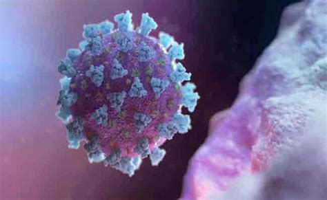 ପୌର ପରିଷଦ ଅଫିସ ସିଲ୍