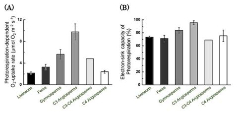 Molecular Mechanism of Oxidation of P700 and Suppression of ROS ...