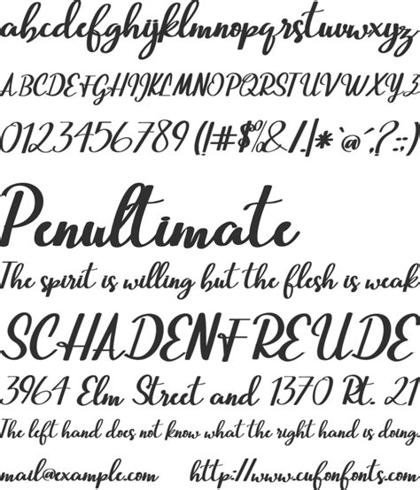 Image result for Beautiful Script Fonts