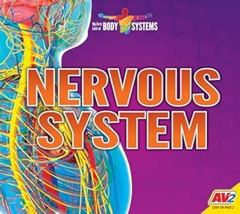 Nervous System (My First Look at Body Systems) : Noelle, Becky, Das ...