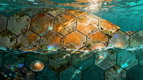 Image result for Turtle Shell Geometry