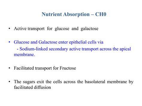 Non-Ruminant Animal Digestive System 的图像结果