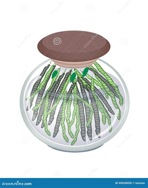 Mung Bean Sprout Pixel Art Vector Drawing | CartoonDealer.com #308501345