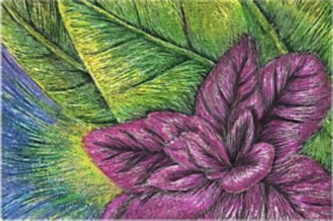Image result for Scratch Drawing Paper