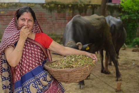 Caring for the Planet | Harpic India