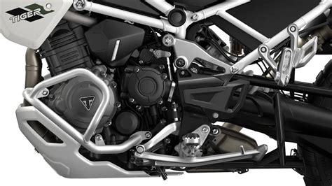Tiger 1200 Rally Pro Model | For the Ride