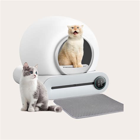 Self cleaning litter box | Getzoofood.ru