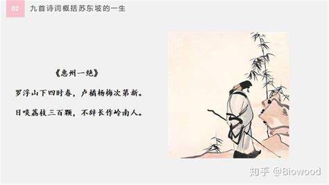 新春佳节，苏轼在海南儋州写下一首词，成为海南第一首新春贺词 - 知乎