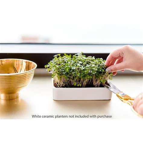 Back to the Roots Vegetable Gardening Kit in the Gardening Kits ...