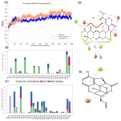 Mycobacterium Time-Series Genome Analysis Identifies AAC2′ as a ...