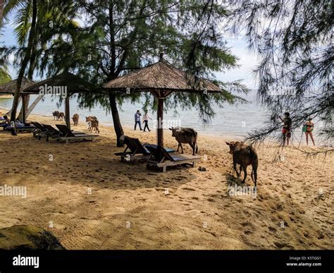 Phu quoc scenery hi-res stock photography and images - Alamy