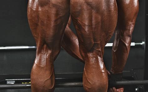 The Best Hamstring Workout for Monster Leg Biceps – Fitness Volt