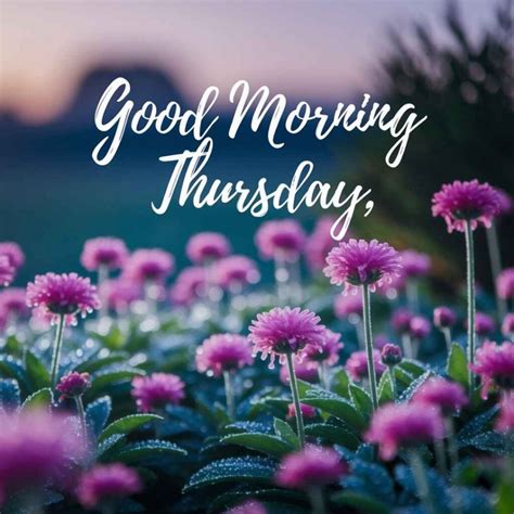 Top Best 175+ Good Morning Friends Images, Pictures and Wishes