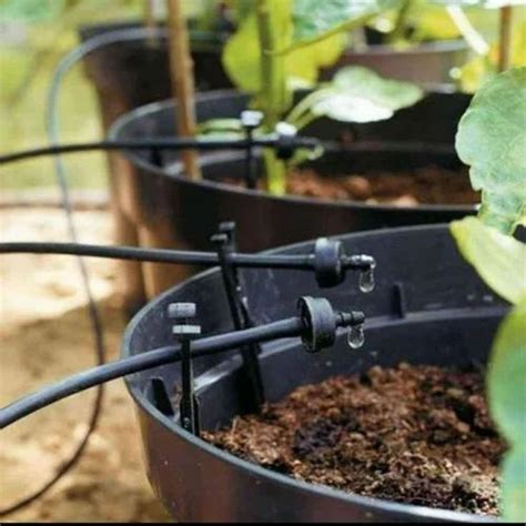 Automatic Drip Irrigation Setup Service Service Provider from Bengaluru