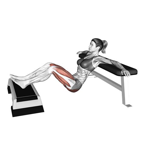 Image result for Hip Thrust Muscles