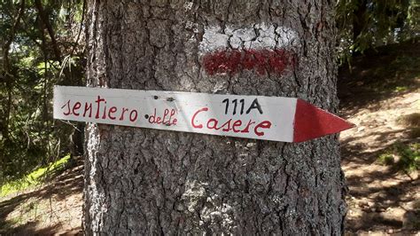 Dog Trekking al Rifugio Balicco. Escursione guidata nell'Alta Valle ...